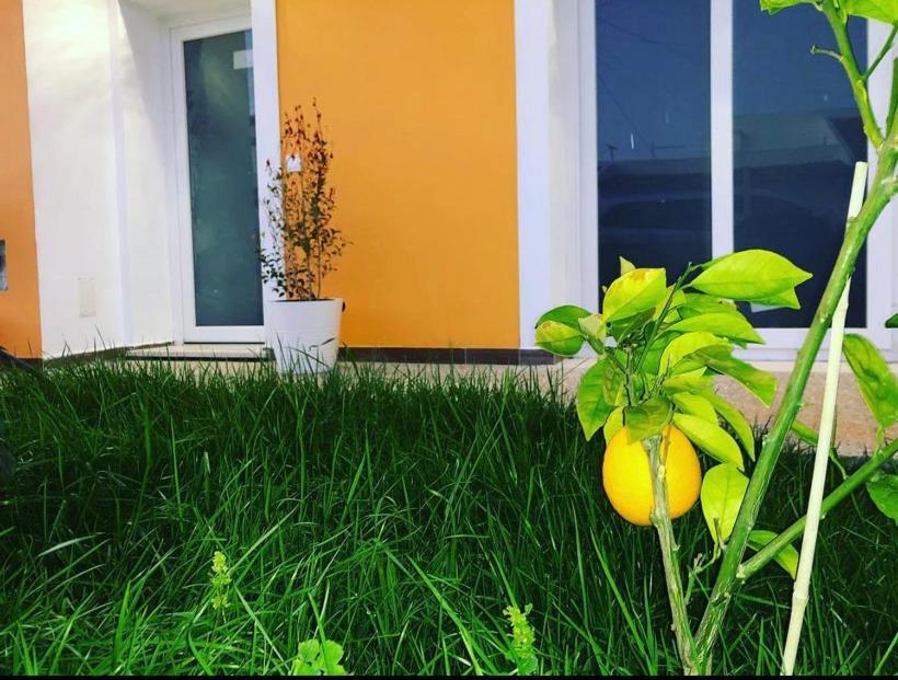 Orange Guest House ساغريش المظهر الخارجي الصورة